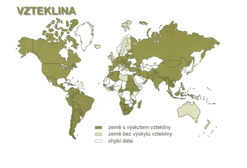 www.address.cz/data/www.ccm.cz/files/7.jpg